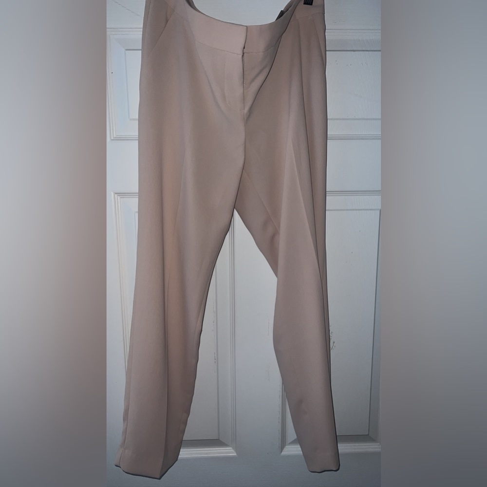 BNWT Express Columnist 10R Blush Pant